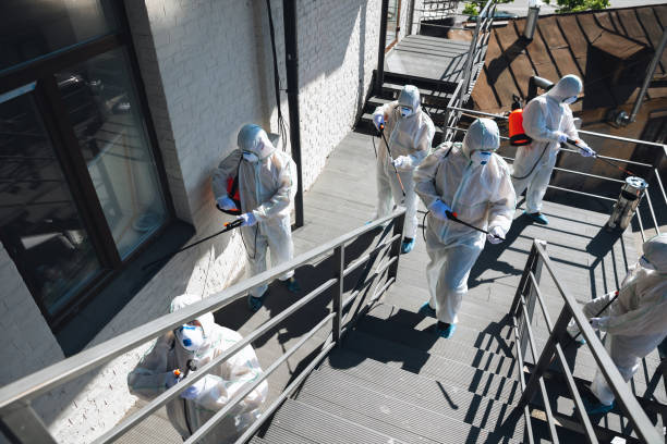 Best Mold Remediation for Healthcare Facilities  in Woodland, CA