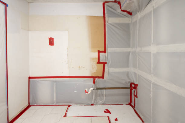Best Post-Remediation Verification Testing  in Woodland, CA