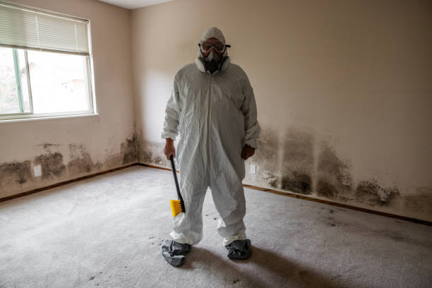 Best Forensic Mold Investigation  in Woodland, CA