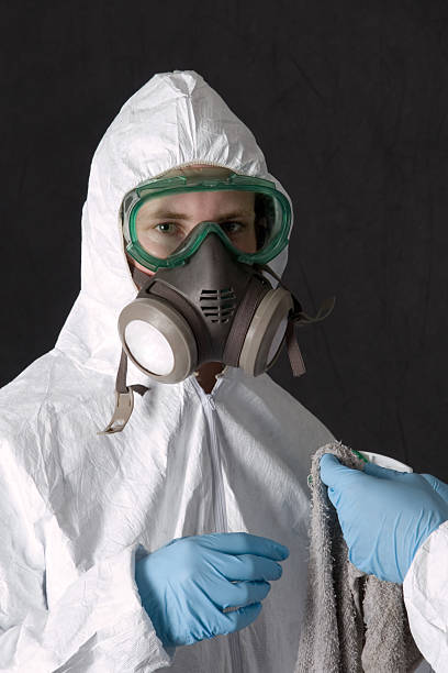 Environmental Consulting for Mold Prevention in Woodland, CA